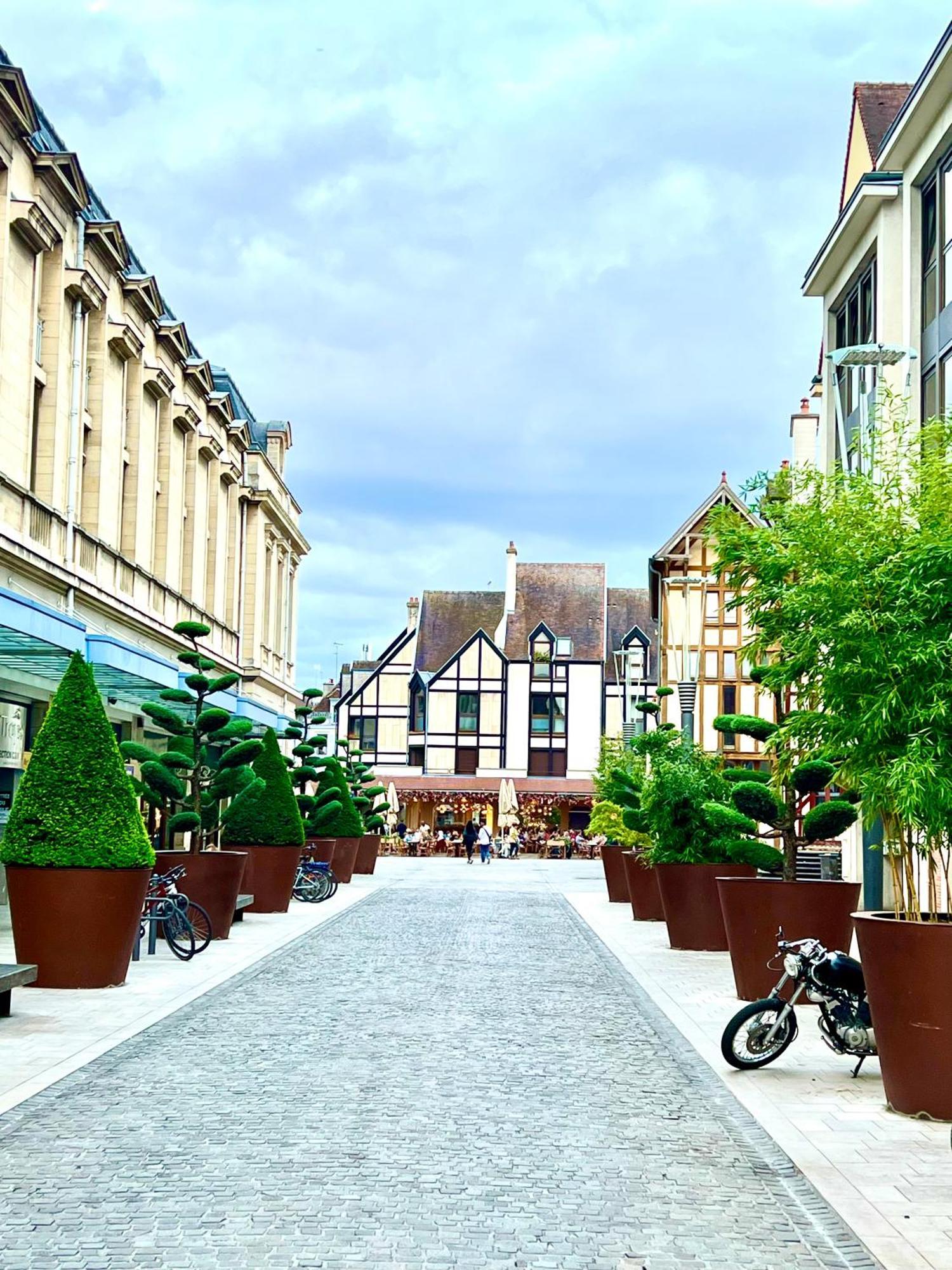 Spa Et Sauna Luxueux Hyper Centre Troyes Exteriör bild